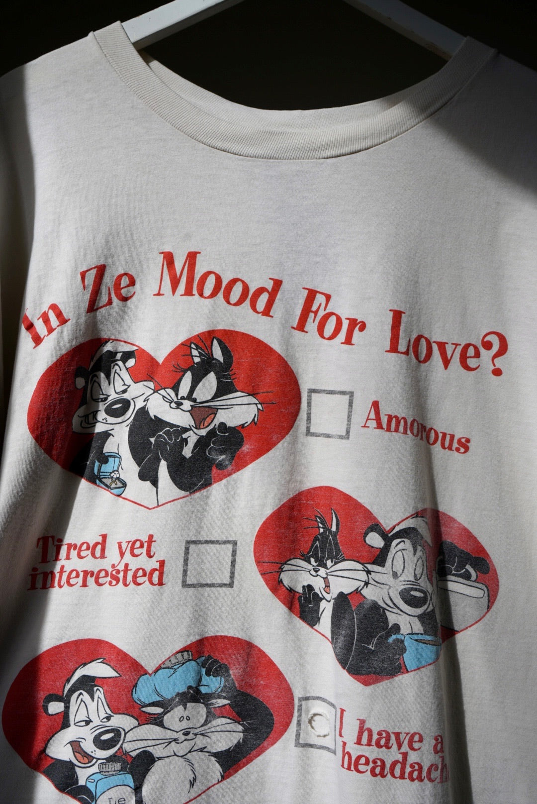 1990's WB 'In Ze Mood For Love'?
