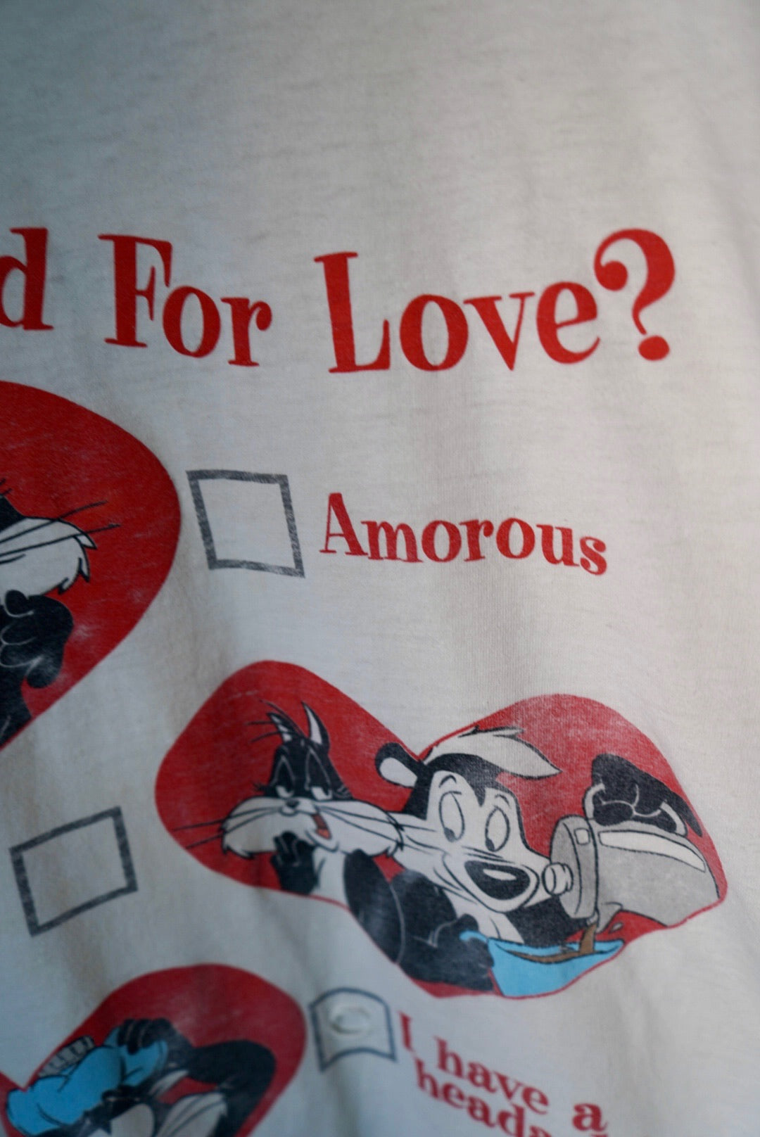 1990's WB 'In Ze Mood For Love'?