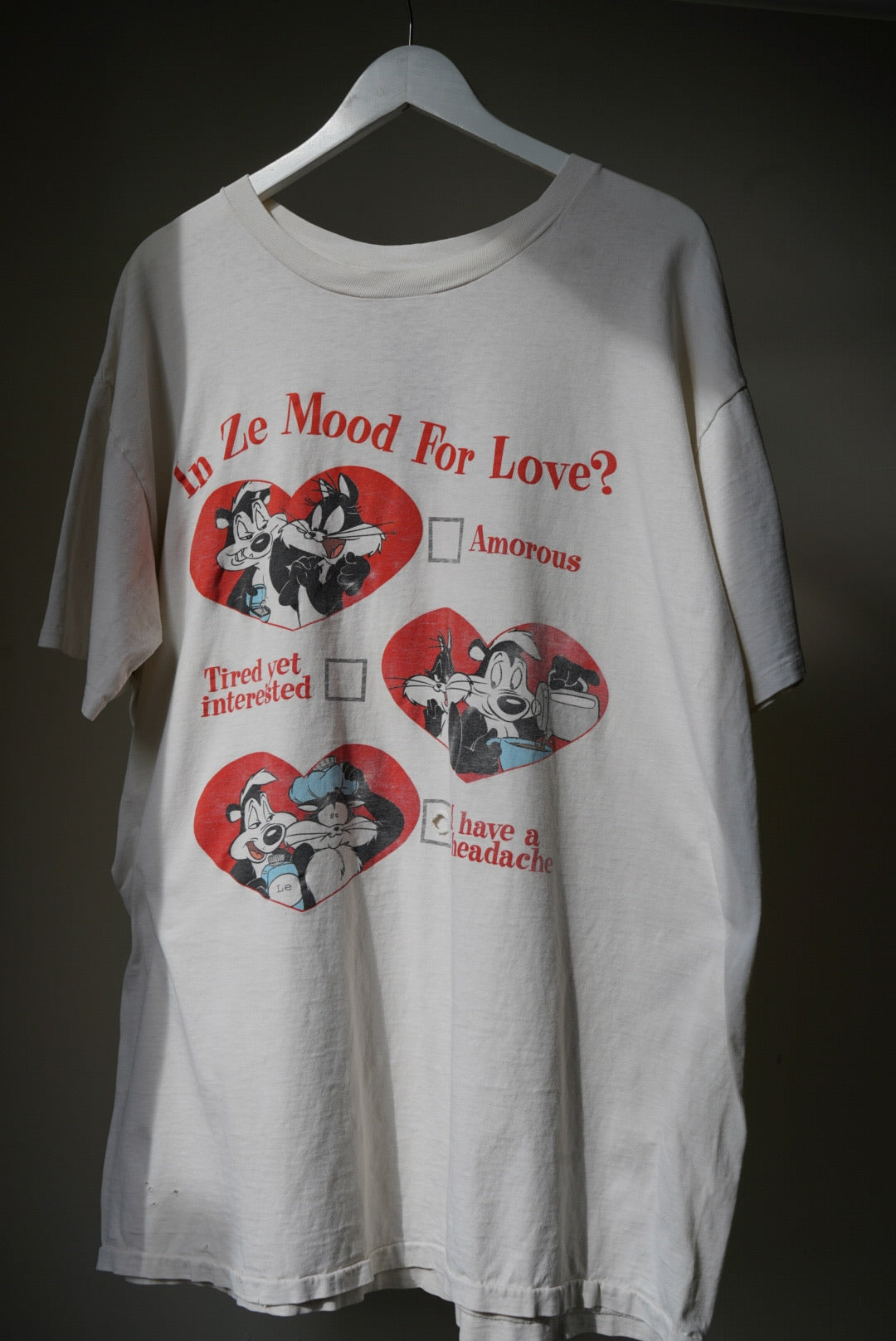 1990's WB 'In Ze Mood For Love'?